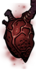 Flesh's Heart
